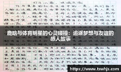 半岛bob·官方网站