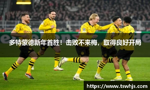 BoB半岛·体育中国官方网站