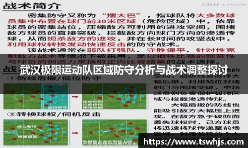 武汉极限运动队区域防守分析与战术调整探讨