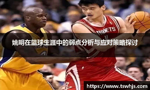 BoB半岛·体育中国官方网站