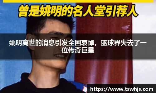 BoB半岛·体育中国官方网站