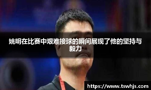 半岛·BOB官方网站