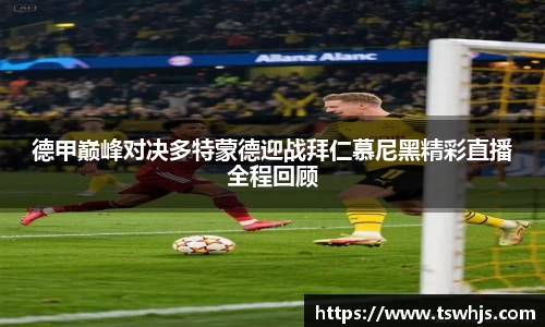 BoB半岛·体育中国官方网站