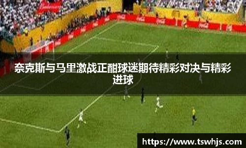 半岛bob·官方网站